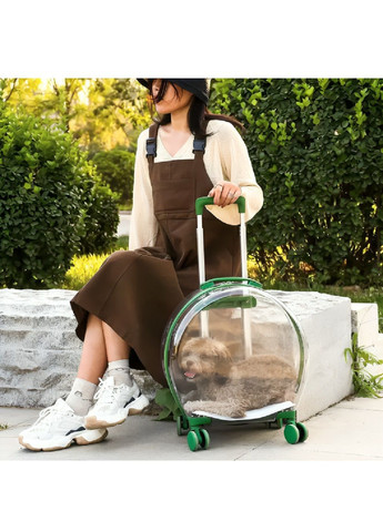 Візок на колесах з телескопічною ручкою для перевезення котів собак 47х42х24 см (481115-Prob) Зелений Unbranded (353827841)