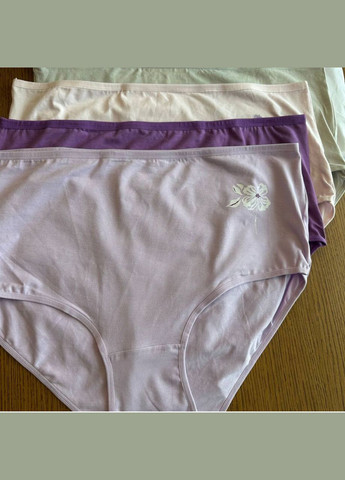 Труси жіночі бавовняні 138-144 см 110295 (5 шт/уп) Nicoletta (344589522)