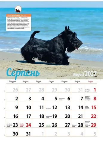 Календар 2027 Породи собак (Breeds of Dogs) із серії Світовид Видавництво «Діана плюс» (411054089)
