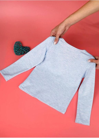 Breiwerk детский батник на басне светло-голубой повседневный трикотаж с начесом