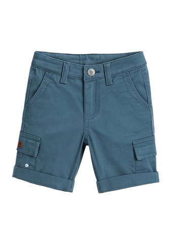 Шорты Синий Quiksilver (358067955)