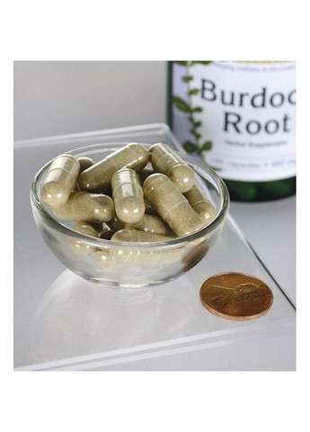 Корінь лопуха, Burdock Root,, 460 мг, 100 капсул Swanson (364312254)