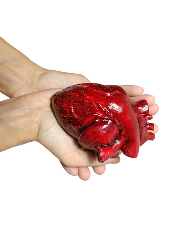Скульптура анатомічне серце 11 см червоне | Гіпсовий арт-декор ручної роботи | No Brand (328600856)