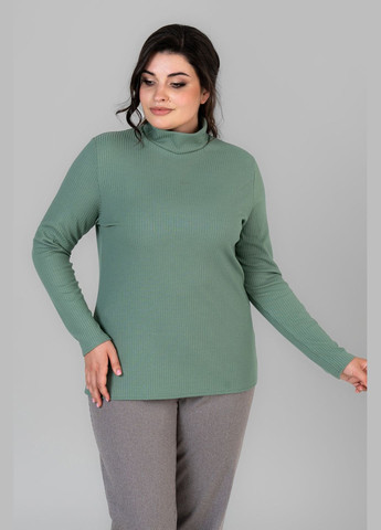 Зеленый демисезонный женский гольф приталенного кроя с воротником-стойкой all posa (ap101676p) A'll Posa