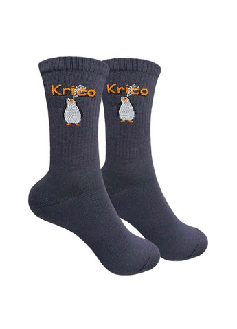 Комбіновані шкарпетки жіночі 1and1 (348467241)