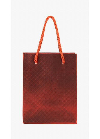 Пакет подарунковий PY03198 shop (2000999271809) No Brand (362893413)