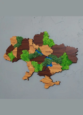 Карта Украины на стену с имитацией дерева, с мхом 600х400 мм Wood One (388843390)