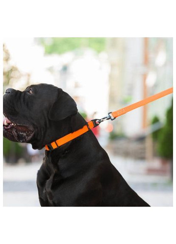 Повідець для собак (42124) Evolutor 210 см 25 мм помаранчевий (366697060)