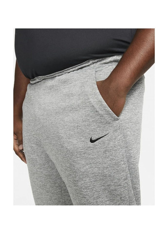 Серые демисезонные брюки Nike