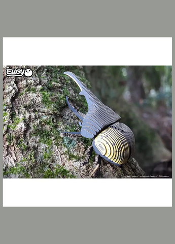 Сборная 3D модель Зоопарк Жук-Геркулес (XEG-112) Eugy (333251919)