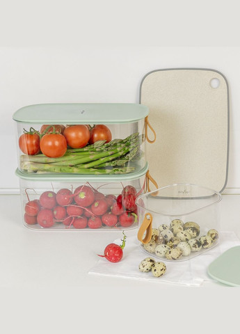 Контейнер для зберігання MY HOME Прозорий із зеленим (KP-01 M T/GREEN) MVM (305590475)