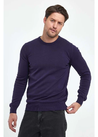 Фіолетовий демісезонний светр Trend Collection