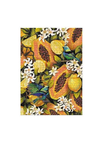 Пазл " Ботаніка. Тропічні фрукти" 770 ел Dodo (372822590)