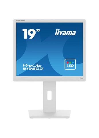 Монитор B1980DW5 Iiyama (314973865)