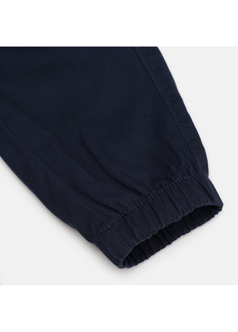 Темно-синие повседневный демисезонные брюки H&M