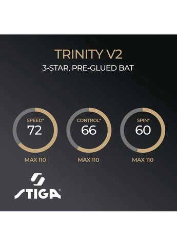 Ракетка для настольного тенниса Trinity 3 Star ver.2 FL Black (1213-1208-35) Stiga (352232381)