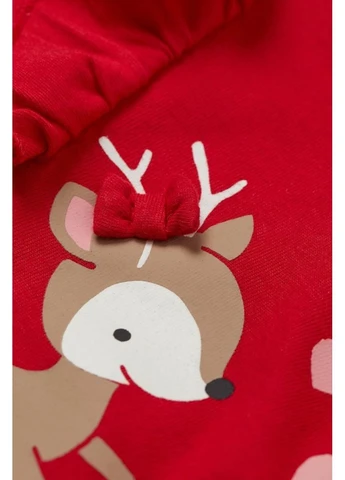 Реглан дитячий дівчинка H&M (381796161)