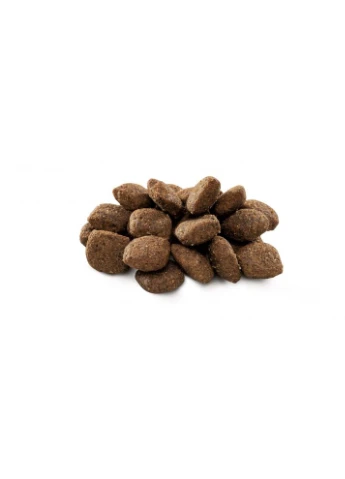 Корм сухий Dog Sensitive Lamb для собак з чутливим травленням з ягням 1 кг Brit Premium (386997822)