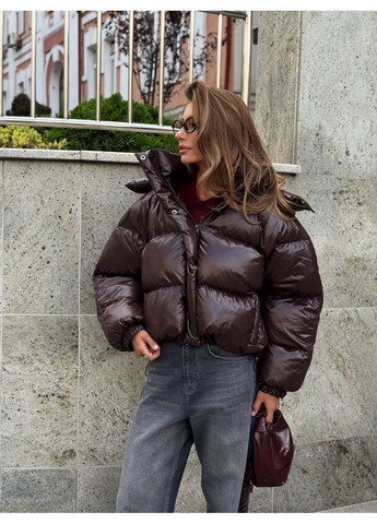 Коричневий зимній Пуховик milirud