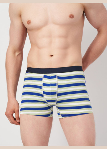 Труси (3шт) Basic Collection (295079750)