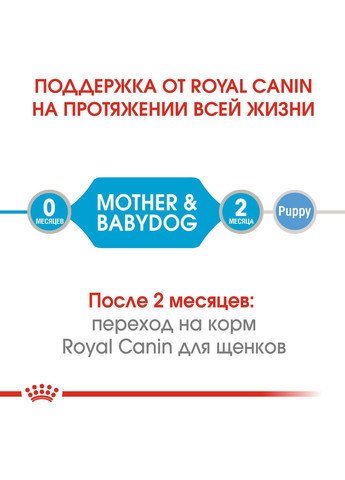 Влажный корм Starter Mousse для беременных собак и щенков всех пород 195 г 9003579311462 94830 Royal Canin (266274073)