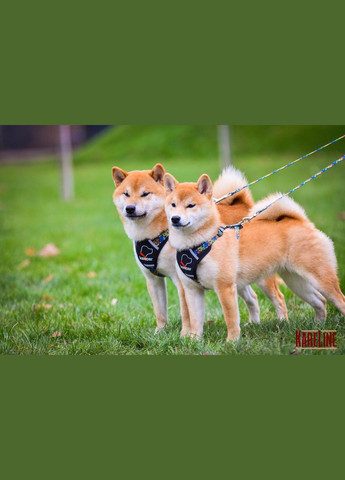 Повідець з нейлону з візерунком "CRAZY" 25 мм 1800 мм Kareline (339075241)