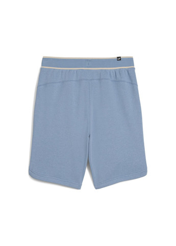Шорты SQUAD Shorts Puma (282829334)