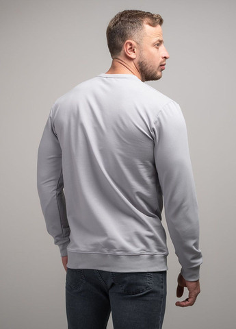 Серый свитшот мужской 341241 Power (266992017)