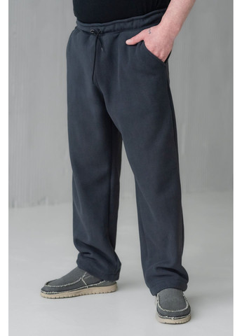 Графитовые повседневный демисезонные прямые брюки Olis-Style