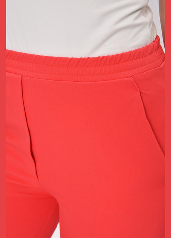 Штани жіночі однотонні рожевого кольору Let's Shop (333426901)