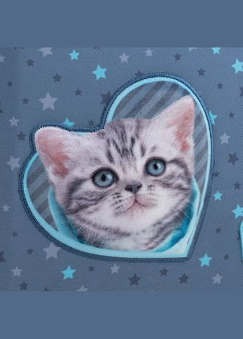 Школьный каркасный рюкзак Education 531 SP 15л (SP25-531M) Kite (335405130)