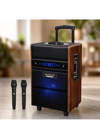 Портативная колонка Live 15 / Караоке-колонка + 2 микрофона / Акустика с Bluetooth, USB-порт, слот для карт памяти SD, FM-радио No Brand (395945130)