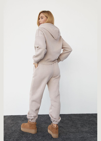 Жіночий спортивний костюм із начосом на блискавці Liton (296909084)