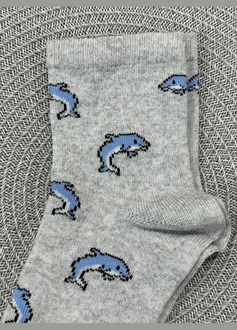 Сірі шкарпетки дитячі з малюнком (322388673)
