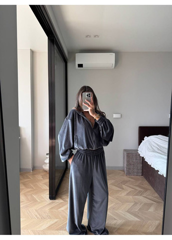 Жіночий велюровий спортивний костюм Asi.Store.ua (361269553)