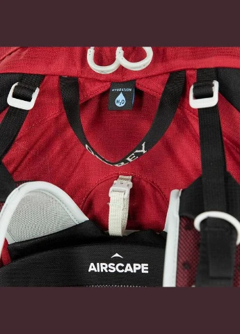 Туристический рюкзак Talon 36 (S21) Eclipse Grey S/M (009.2295) Osprey (324611760)