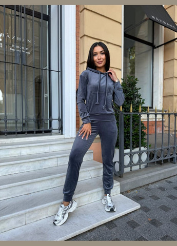 Спортивный велюровый костюм Fashion (300567343)