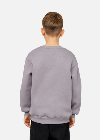 Yuki світшот для хлопчика колір сірий цб-00261385 сірий футер