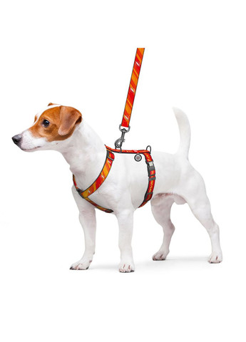 Шлея для собак анатомічна H-подібна Nylon з QR-паспортом, світловідбивна, XL, Ш 25 мм, А 60-100 см, В 68-100 см WAUDOG (331162496)