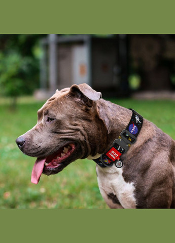 Нашийник для собак нейлоновий Nylon з QR паспортом, XXL, Ш 35 мм, Д 46-70 см WAUDOG (322642724)