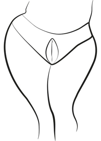 Вібратор кліторальний для трусиків Wave Romp (347312983)