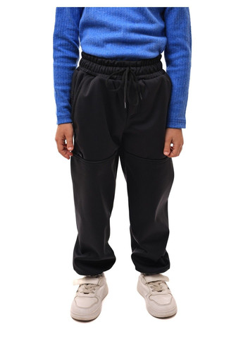 Штани для хлопчика Polin Line (368996206)