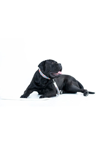 Повідець WAUDOG Design білий шкіряний 25мм 122см для собак з малюнком літній стильний повідець ProDobro (373221386)