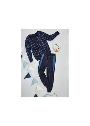 Pepperts свитшот двунитка для мальчика lidl 402769 темно-синий темно-синий