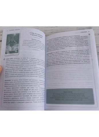 Подарунковий набір колода і книга Таро дикого лісу Wildwood Tarot No Brand (351372661)