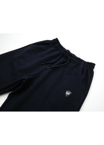 Темно-синие демисезонные брюки Breeze