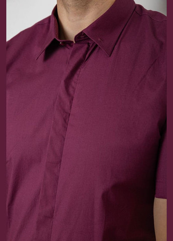 Сливовая рубашка Ager