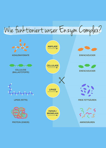 Энзимный комплекс от ® 120 капсул Vegavero (299717730)