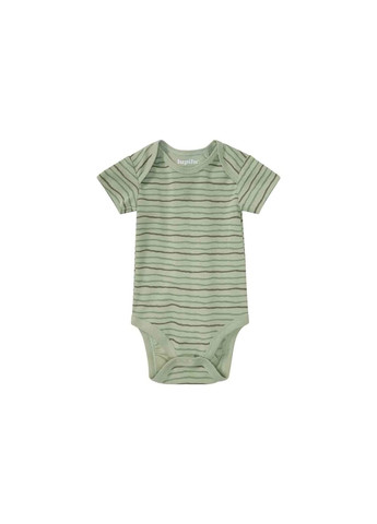 Боді для хлопчика, набір 2 шт Lupilu (362446684)