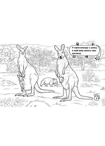 Дитяча розмальовка "Тварини у далеких краях" 583009, 16 сторінок Ranok Creative (366974024)